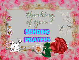 Photo gif. The background is a frame covered in pink roses. There’s a red rose that’s laying down and sparkling, on top of that rose is a white rose that is also sparkling. In the frame are dancing pink flowers and a cherry blossom tree with two birds perched on the branches. There is also a sticker of a thinking white bunny. Text, “Thinking of you, Sending prayers.” 