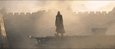 GIF by Assassin's Creed