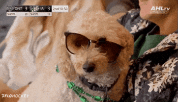 GIF by Iowa Wild