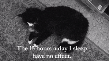 sad black and white GIF by Internet Cat Video Festival