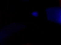 Red Light Green Light Gifs Get The Best Gif On Giphy