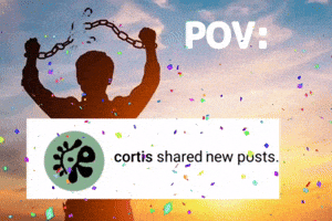 Cortis James Martin Keonho Seonghyeon Sean Juhoon GIF