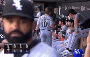 Major League Baseball GIF