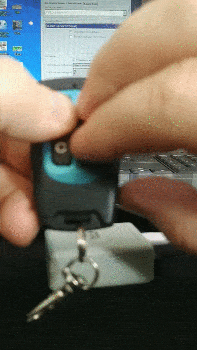 Animated GIF