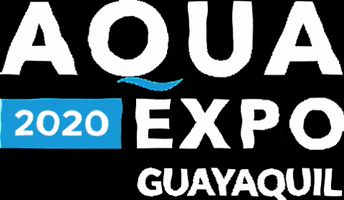 cnaecuador GIF
