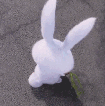 Giphy - rabbit GIF