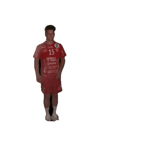 Rema1000Ligaen Follo Sticker by Norsk Topphåndball