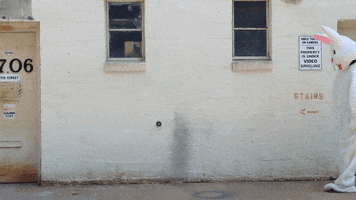 michaeljanis bunny alice in wonderland easter bunny washington glass school GIF