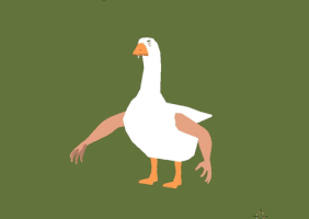 Goose Pitch GIF