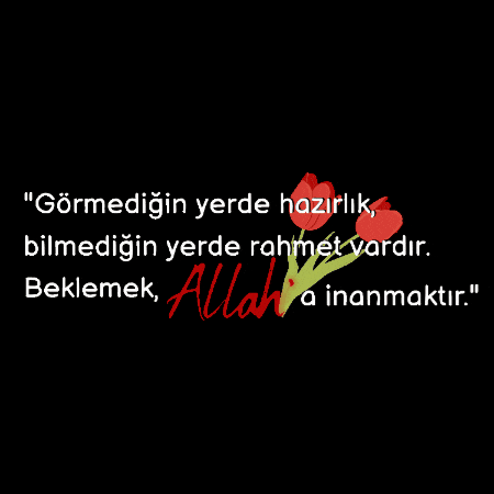 Gonulmihrabi Rahman Allah GIF