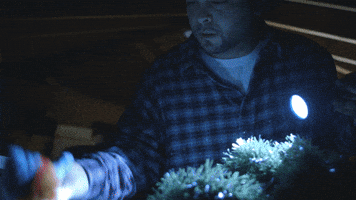 MarkAL401 horror red friday 401 films george the elf GIF