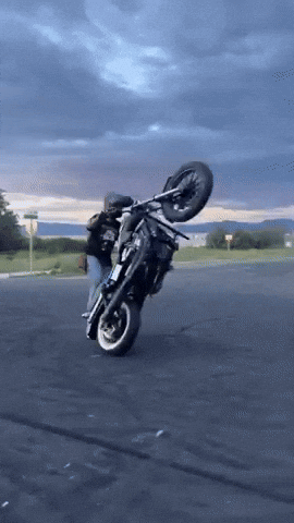 Harley Dyna GIF by Onlywheelies