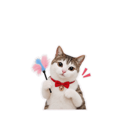 Cat Sticker