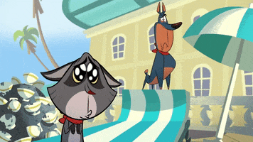 Cat Reaction GIF by Taffy