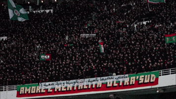 Mouloudia GIF