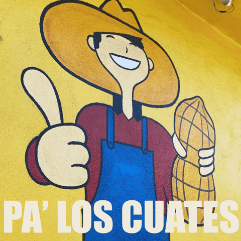 pepewates GIF