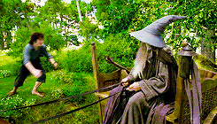 giphy.gif?cid=790b76117bc059e5b47be67c6d7bfd8db52253d4191a880b&rid=giphy.gif&ct=g