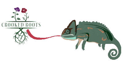 Party Flowers Sticker by Crooked Roots Design