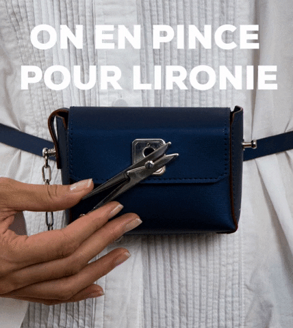 LIRONIE GIF