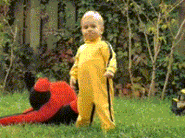 martial arts baby GIF
