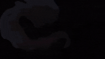 One Piece Loki GIF