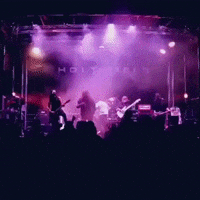 200.gif?cid=fc005b08dd9759eb43aa188008d3ade01be1ffd649c84cfc&rid=200.gif&ct=g