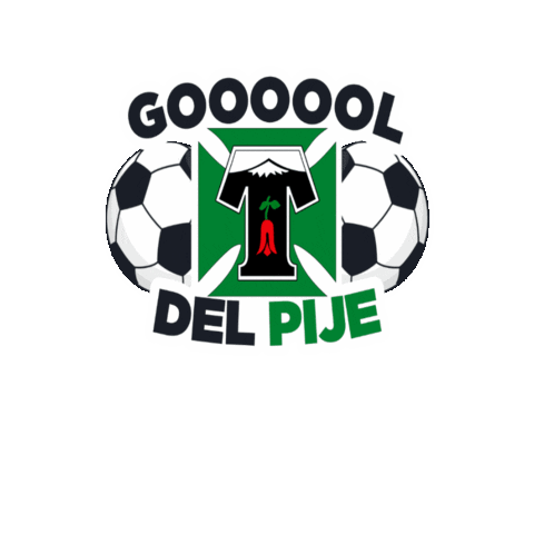 Club Deportes Temuco Sticker