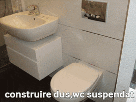 Instalatii Sanitare GIF