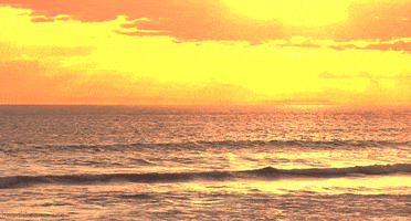 sea ocean GIF by Head Like an Orange - Find & Share on GIPHY