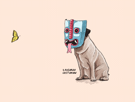 Animation GIF