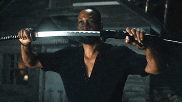 Sword Bobodenkirk GIF by Nobody