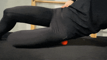 Exercices GIF