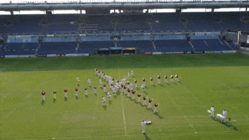 SG Fanfarenzug Potsdam e.V. GIF