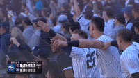 Yankee-fans GIFs - Get the best GIF on GIPHY