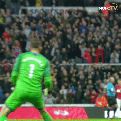 Goalkeeper Celebrate GIF by Newcastle United Football Club