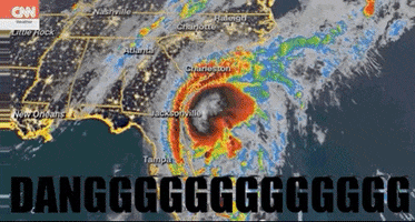 Dddddddddddaaannnngggggg GIF