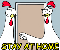 Chicken Stay At Home GIF by happydog