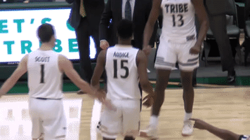 GIF by William & Mary Tribe Athletics