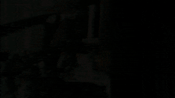 Fluffy GIF