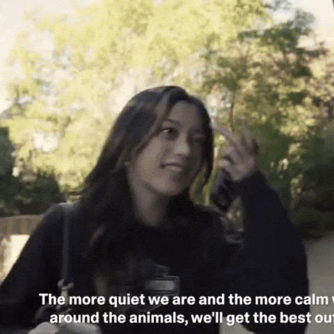 Disappointed Reaction Gif GIF