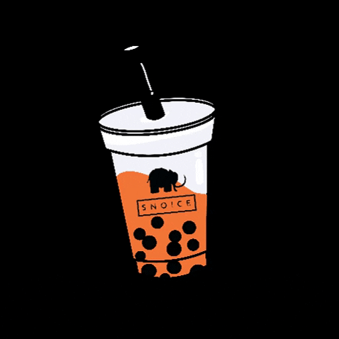 Snoice GIF