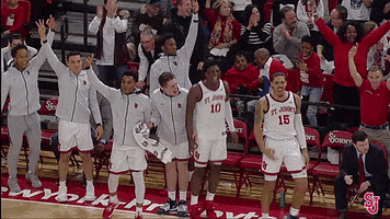 St Johns Guitar GIF by St. John's Red Storm