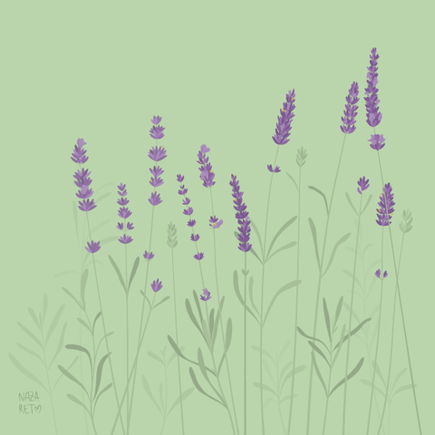 What is your favorite use for Lavender Essential Oil? content media