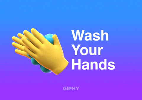 giphy.gif?cid=ecf05e47fbbf8a549a12abfcf8