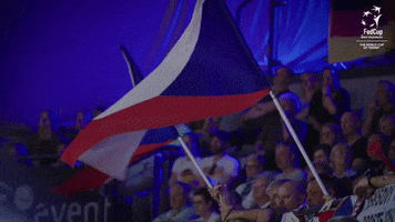 Team Tennis GIF by Fed Cup by BNP Paribas
