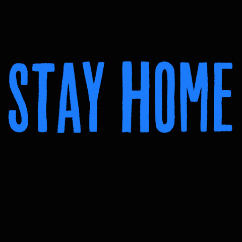 Vote Stay Home GIF by MarchForOurLives