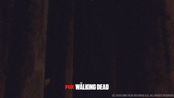 200.gif?cid=fc005b08f21aa3a8329534048276c2be661830d63d313414&rid=200.gif&ct=g