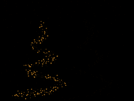 Kerst GIF by ProMove