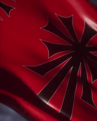 Qoison GIF