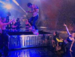 Ehrlich Brothers GIF